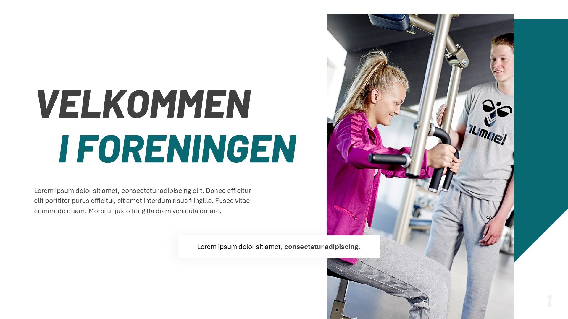 Eksempel på skræddersyet slideskabelon med velkomst i foreningens farver